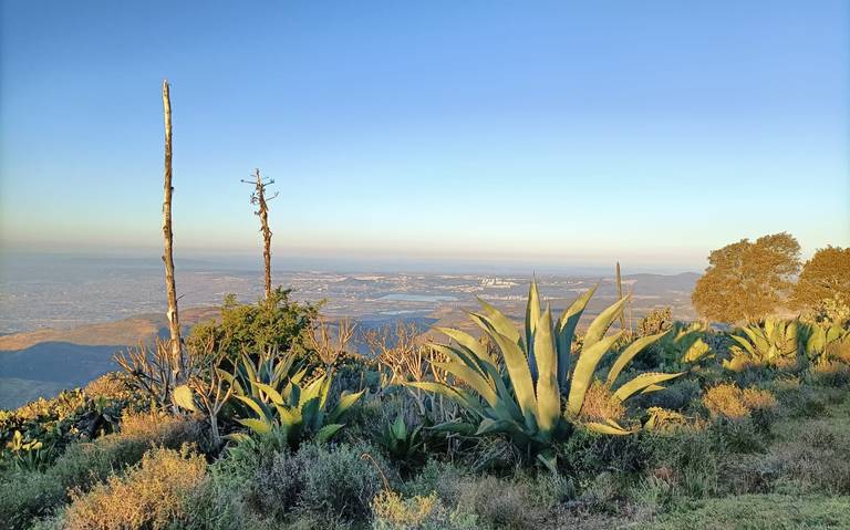 Sierra de Lobos: un paraíso natural... - El Sol de México | Noticias,  Deportes, Gossip, Columnas