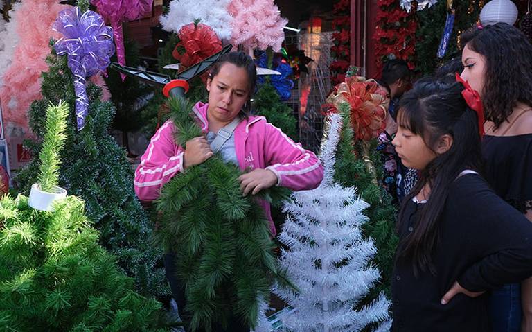 árboles de Navidad ¿naturales o artificiales? - El Sol de México |  Noticias, Deportes, Gossip, Columnas