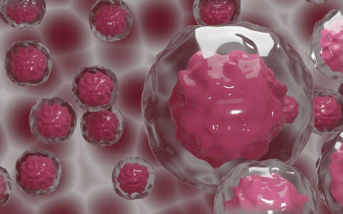 Cancerous tumors: scientists develop a vaccine that eliminates them