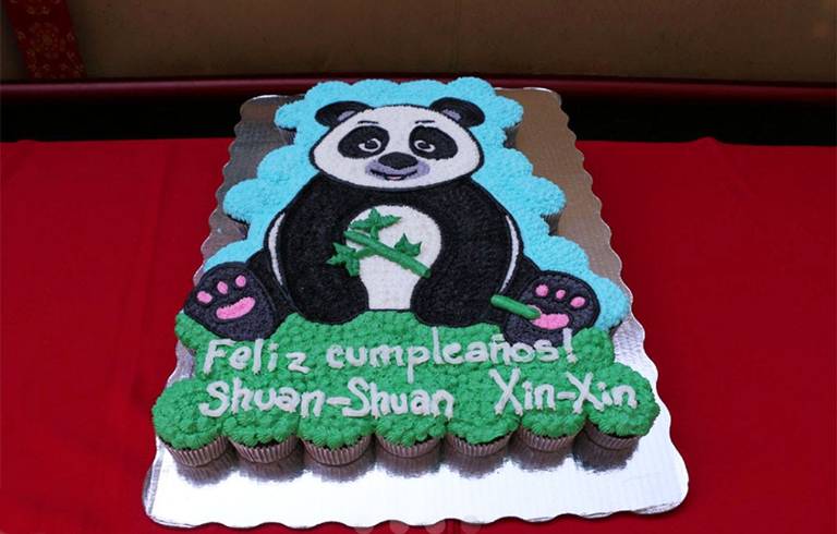 Pandas gigantes más longevas del mundo en Zoológico de Chapultepec celebran  cumpleaños - El Sol de México | Noticias, Deportes, Gossip, Columnas