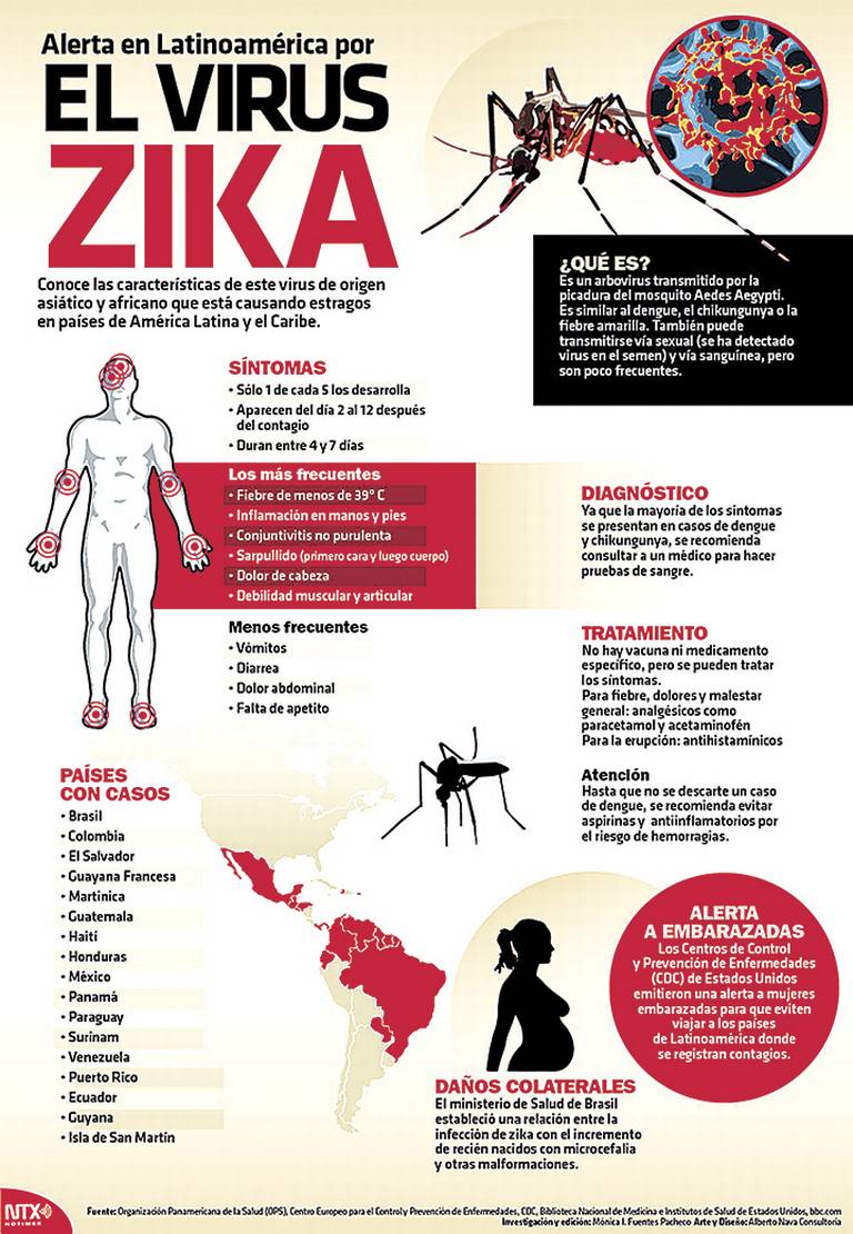 La Organización Mundial de Salud manifestó que el virus del Zika constituye  una emergencia internacional 