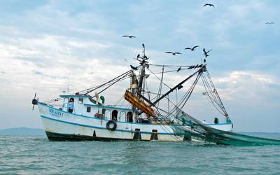 Fotos y Video] Alto nivel de llenado de El Palote les facilita la pesca -  El Sol de León