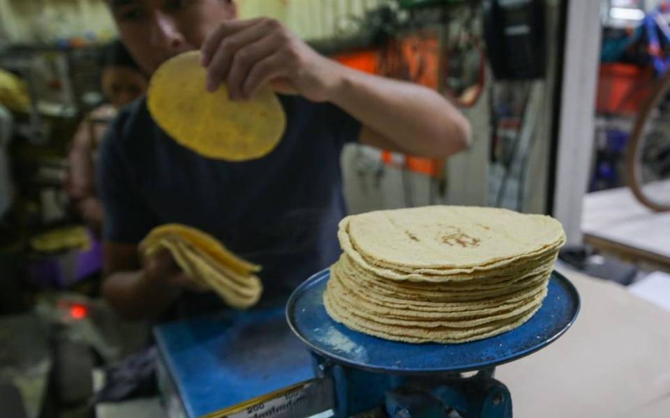 Precio de la tortilla es afectado por Maseca, acusa Profeco - El Sol de  México | Noticias, Deportes, Gossip, Columnas