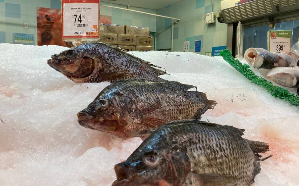 Sube 28% precio del pescado - El Sol de México | Noticias, Deportes,  Gossip, Columnas