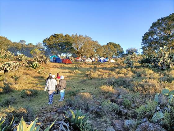 Sierra de Lobos: un paraíso natural... - El Sol de Salamanca | Noticias  Locales, Policiacas, de México, Guanajuato y el Mundo