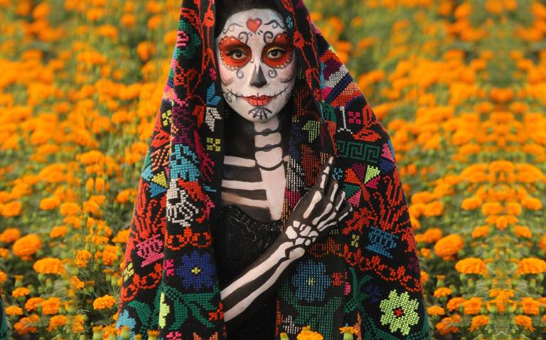 Puebla, destino que guía con pétalos en Día de Muertos - El Sol de México |  Noticias, Deportes, Gossip, Columnas