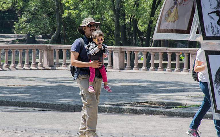 DATA | No es fácil ser padre en México - El Sol de México | Noticias,  Deportes, Gossip, Columnas