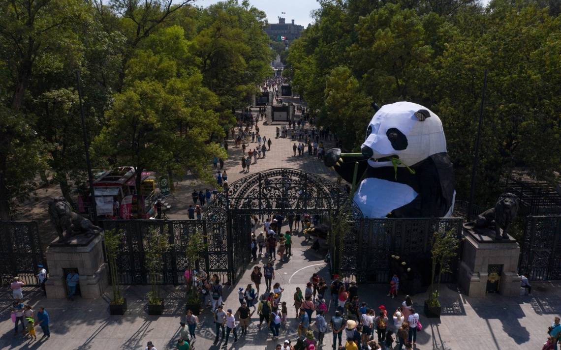 Festival Del Bosque De Chapultepec 2024 Cu Ndo Es El Sol De M Xico   Panda 