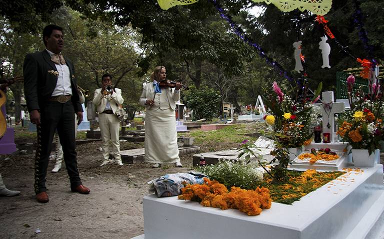 Flor de cempasúchitl dará vida a las tumbas este Día de Muertos - El Sol de  México | Noticias, Deportes, Gossip, Columnas