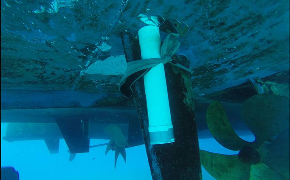 Supuesto explosivo en ferry de Barcos Caribe no representó amenaza para  turistas - El Sol de México | Noticias, Deportes, Gossip, Columnas