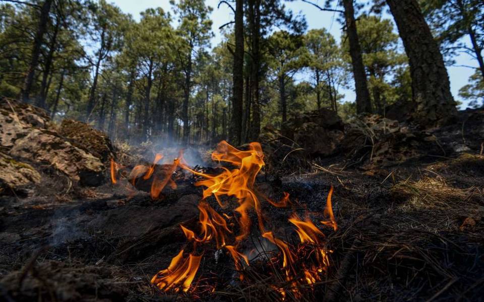 Gobierno de CDMX emprenderá campaña contra incendios forestales – El Sol de México