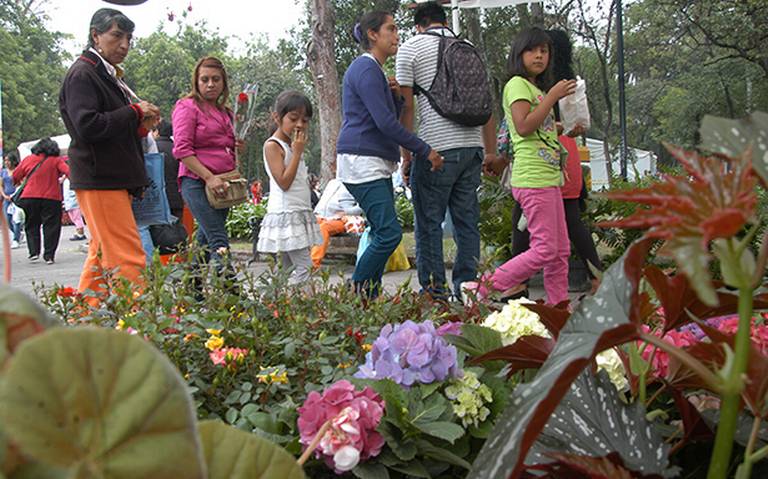 Mañana, Feria de las Flores en San Ángel - El Sol de México | Noticias,  Deportes, Gossip, Columnas