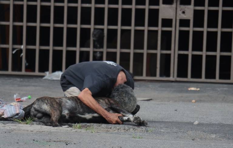 Por noticia del perro Zeus asesinado, su dueño se reencuentra con ...