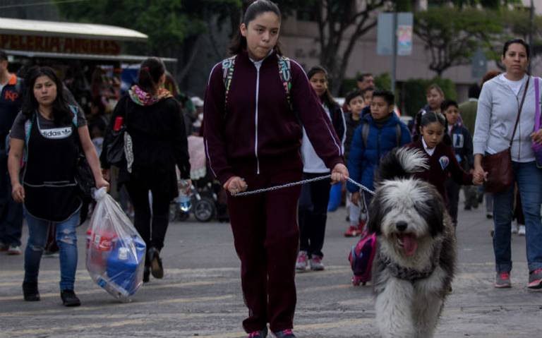 SEP Inician clases 25 millones de alumnos nuevo modelo educativo ciclo  escolar 2018-2019 - El Sol de México | Noticias, Deportes, Gossip, Columnas