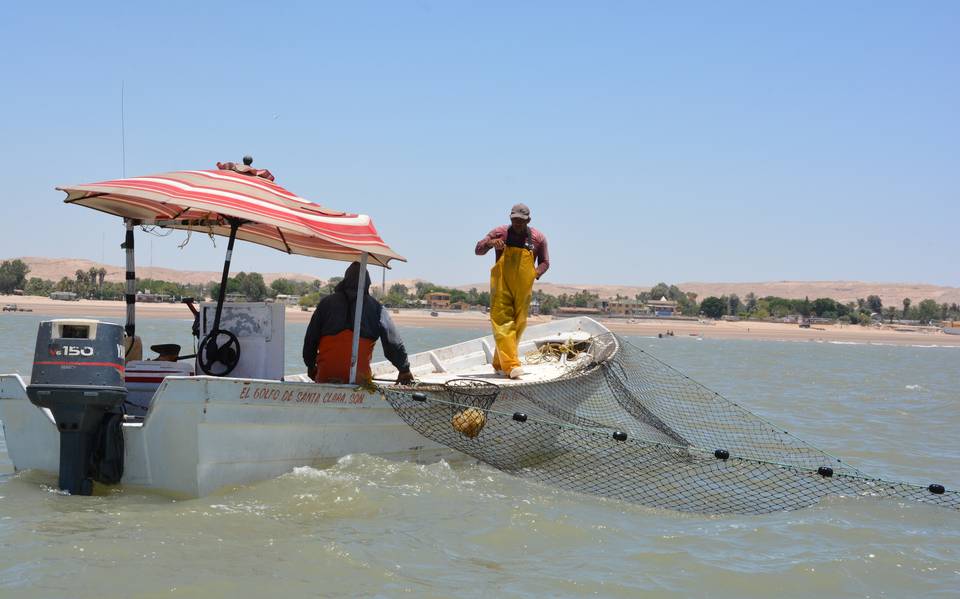 La pesca mexicana, una actividad inmensa como el mar - 2000Agro Revista  Industrial del Campo