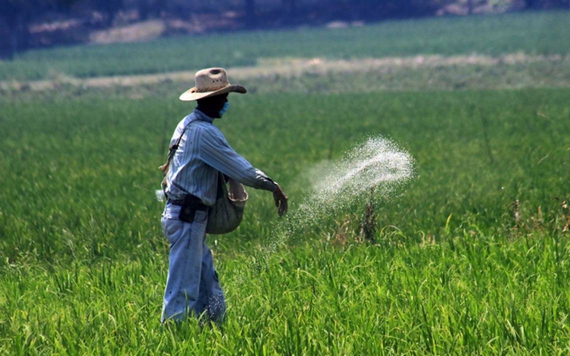 They ask to reactivate fertilizer production due to price increases – El Sol de México