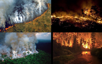 Resultado de imagen para incendios amazonas bolsonaro