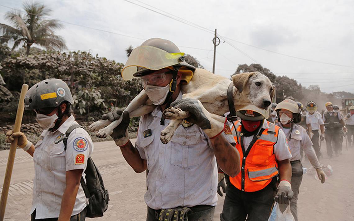 10 fotos que retratan la tragedia en Guatemala por la erupción del