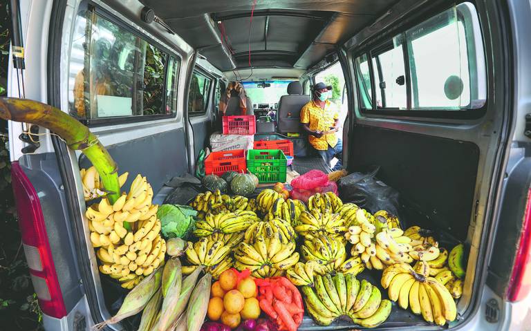 Madrugar para vender fruta en lugar de buscar leones africa afectaciones  pandemia coronavirus covid-19 - El Sol de México | Noticias, Deportes,  Gossip, Columnas