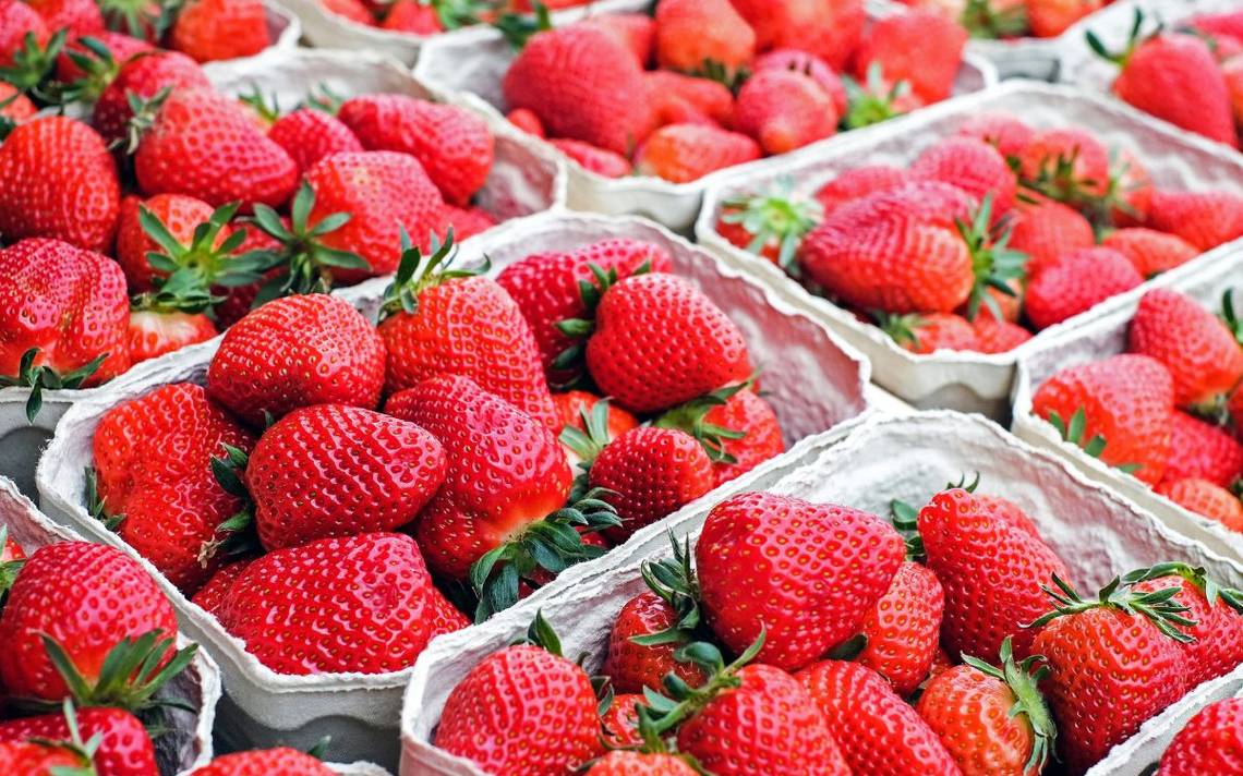 https://www.elsoldemexico.com.mx/republica/sociedad/7bxeaj-fresas.jpg/ALTERNATES/LANDSCAPE_1140/Fresas.jpg