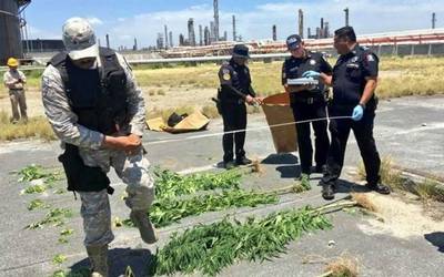 Resultado de imagen para encuentran marihuana en pemex